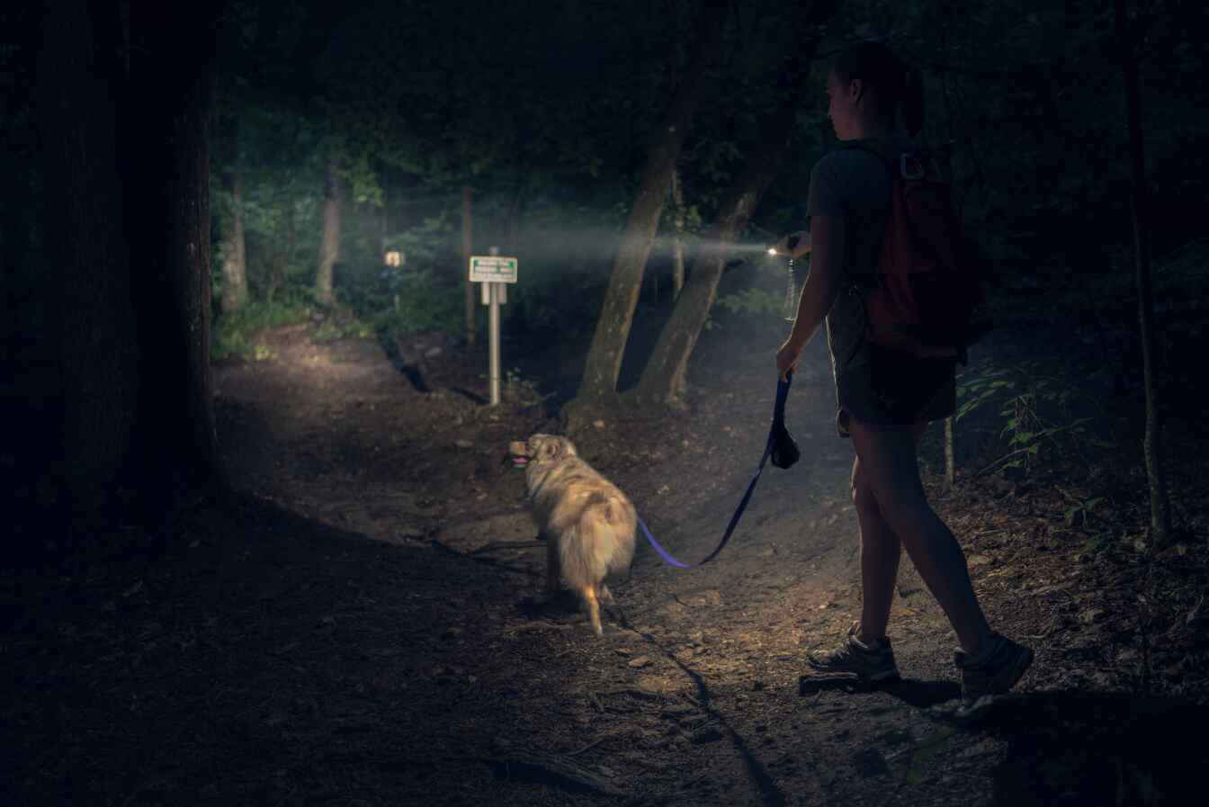 Illuminate Your Adventures: Choosing the Perfect Outdoor Flashlight