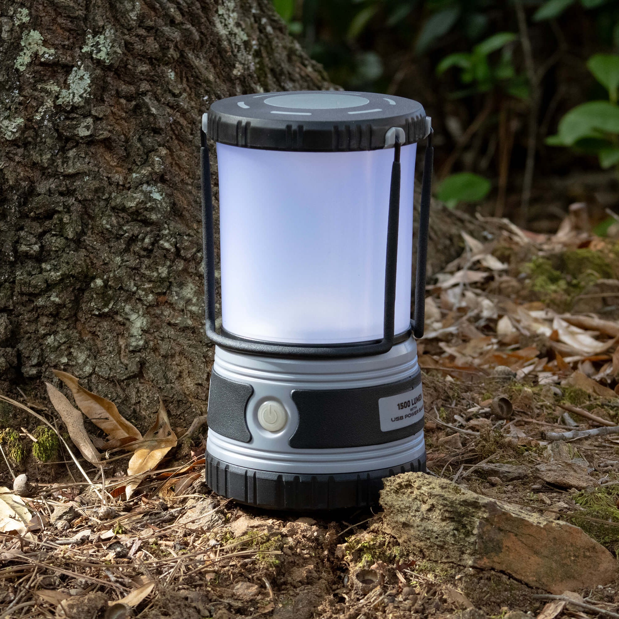 Police Security 4d lantern next to a tree