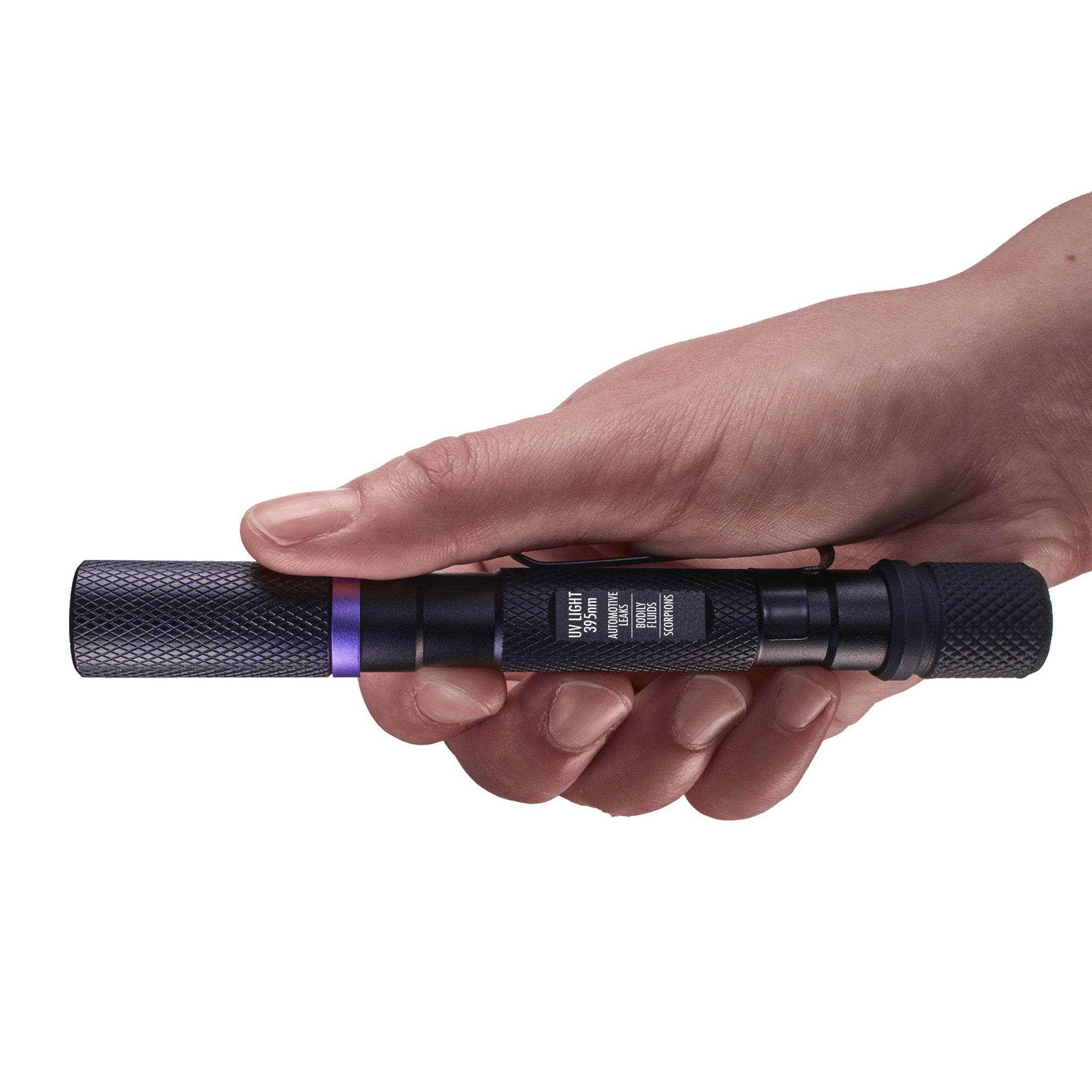 An image of a hand holding the UV FLASHLIGHT 6AAA